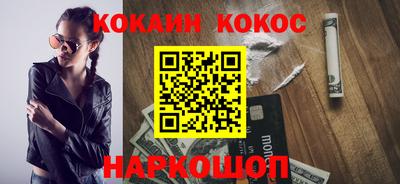 гашик Тара
