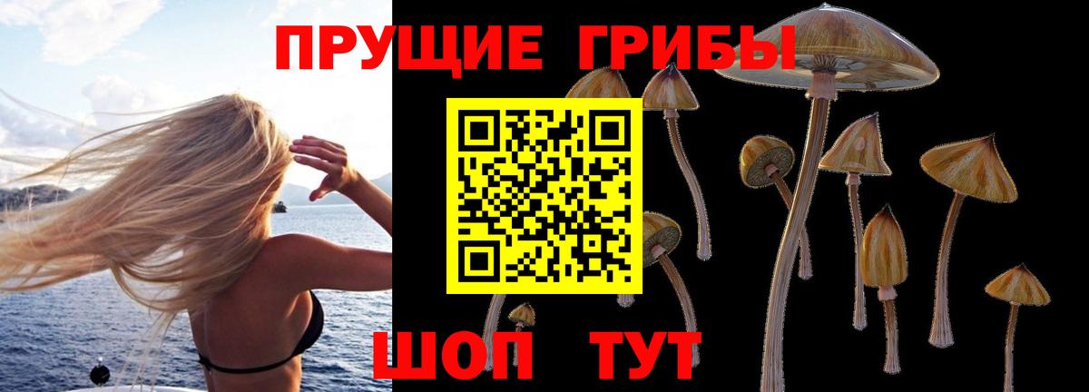 Псилоцибиновые грибы MAGIC MUSHROOMS Лиски